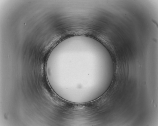 X0000103300206200808291138