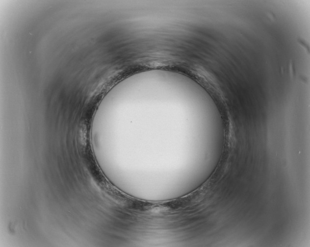 X0000103300210200808291138