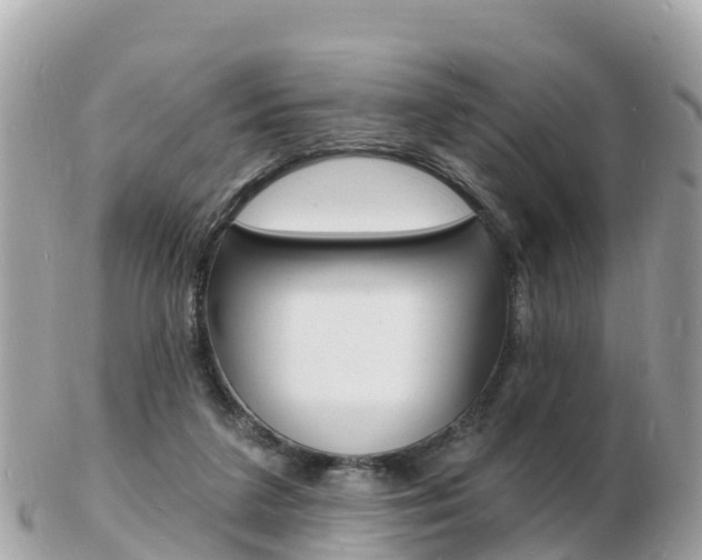 X0000103300211200808291138