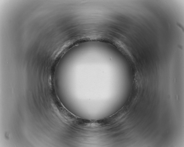 X0000103300212200808291138