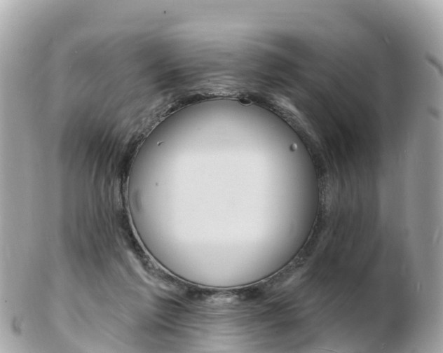 X0000103300213200808291138