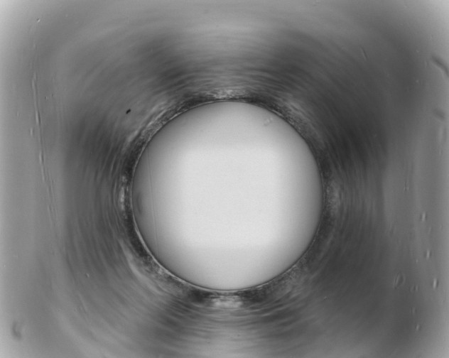 X0000103300214200808291138