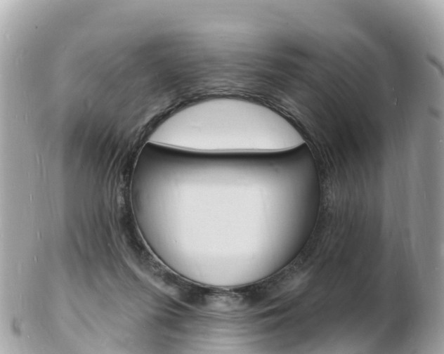 X0000103300215200808291138