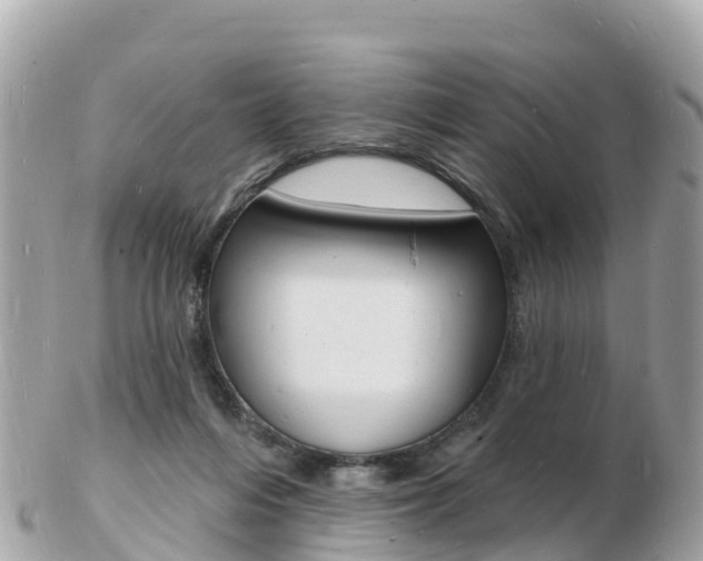 X0000103300216200808291138