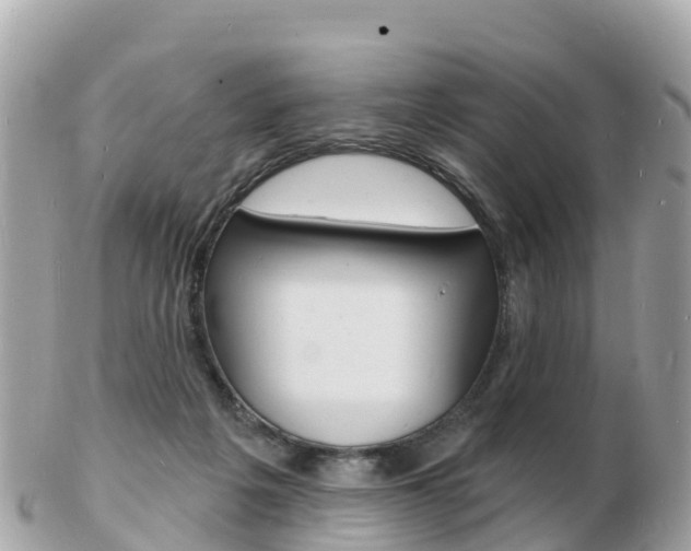 X0000103300217200808291138