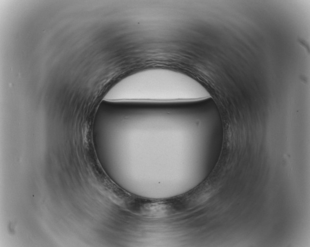X0000103300219200808291138