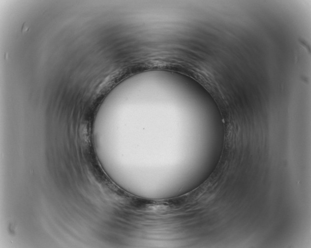X0000103300220200808291138