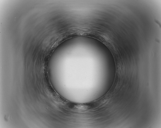 X0000103300221200808291138