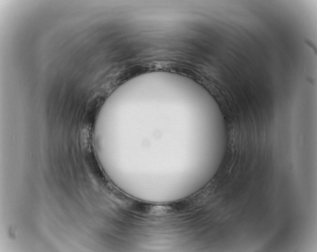 X0000103300222200808291138
