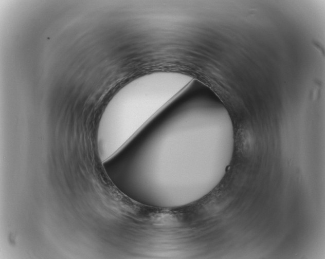 X0000103300224200808291138