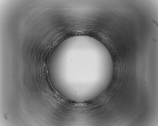 X0000103300225200808291137
