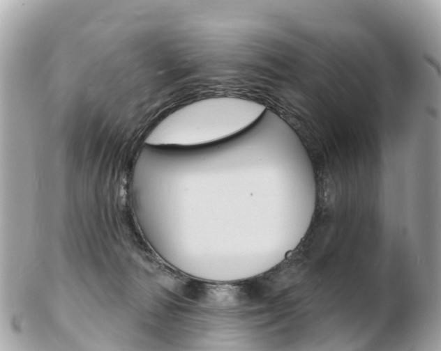 X0000103300226200808291137