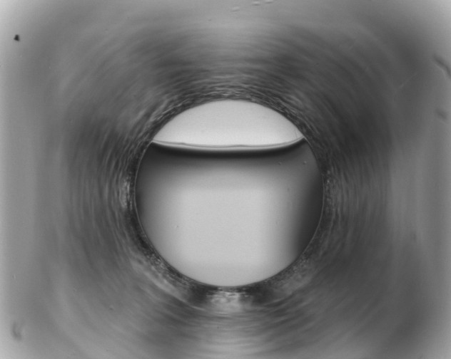 X0000103300227200808291137
