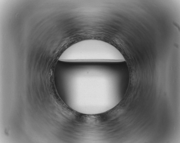 X0000103300229200808291137