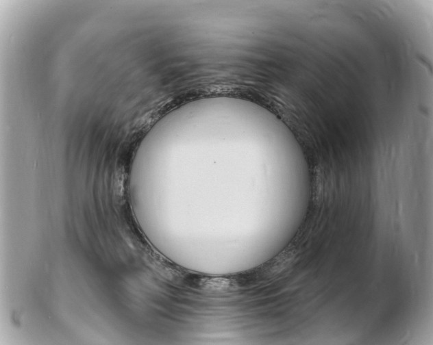 X0000103300230200808291137