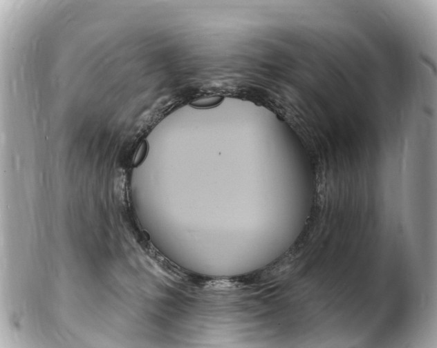 X0000103300231200808291137