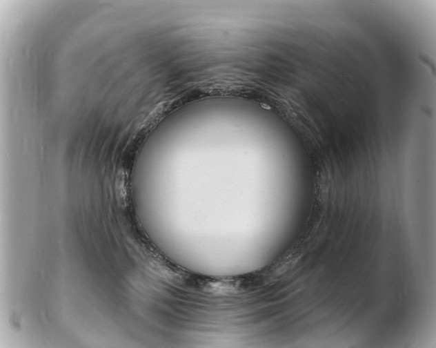 X0000103300232200808291137