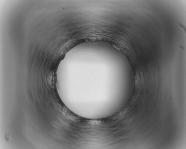 X0000103300233200808291137
