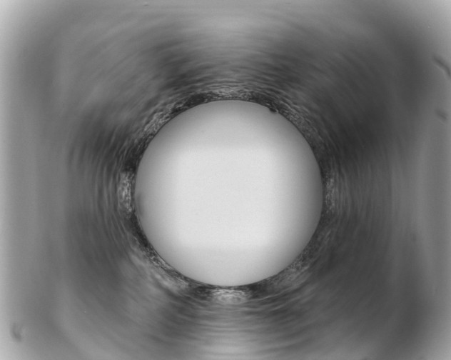 X0000103300234200808291137