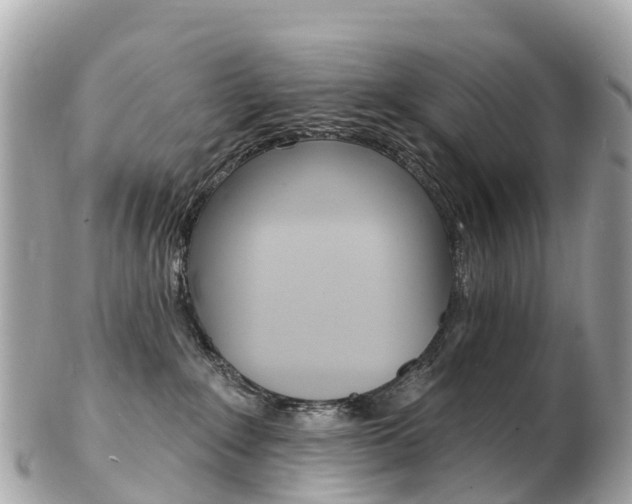 X0000103300235200808291137