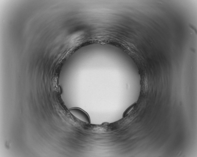 X0000103300236200808291137