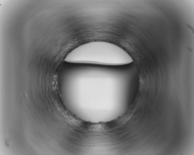 X0000103300237200808291137