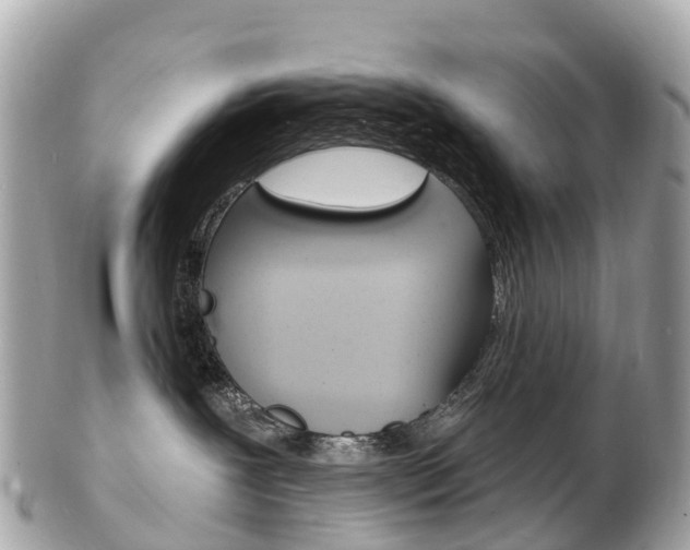 X0000103300239200808291137