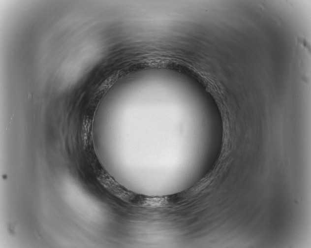 X0000103300240200808291137