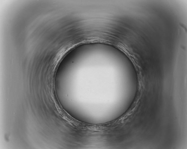 X0000103300241200808291137