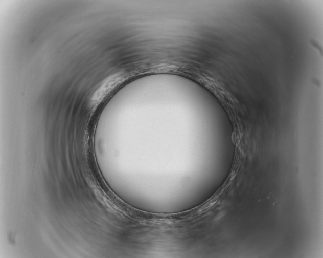 X0000103300242200808291137