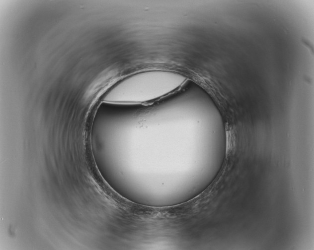 X0000103300243200808291137