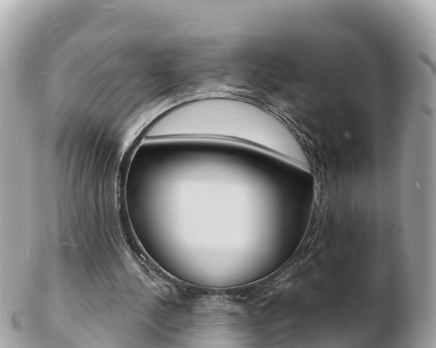 X0000103300244200808291137