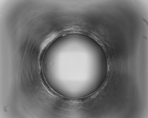 X0000103300245200808291137