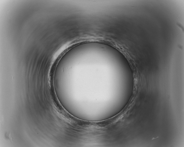 X0000103300246200808291137