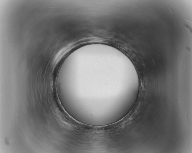 X0000103300247200808291137