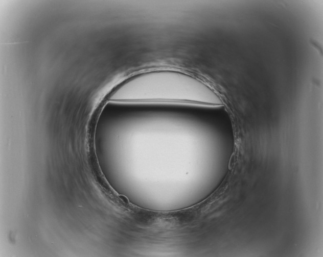 X0000103300248200808291137