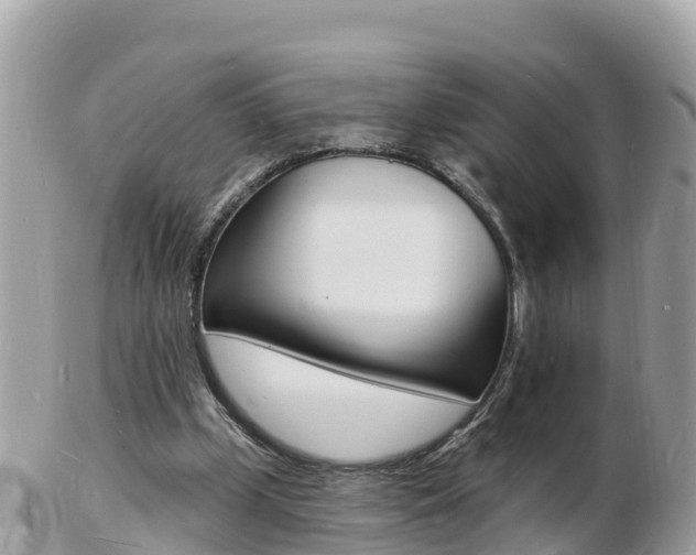 X0000103300249200808291137
