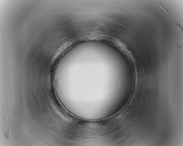 X0000103300250200808291137