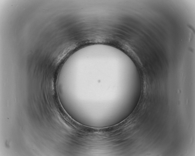 X0000103300251200808291137
