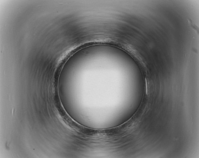 X0000103300252200808291137