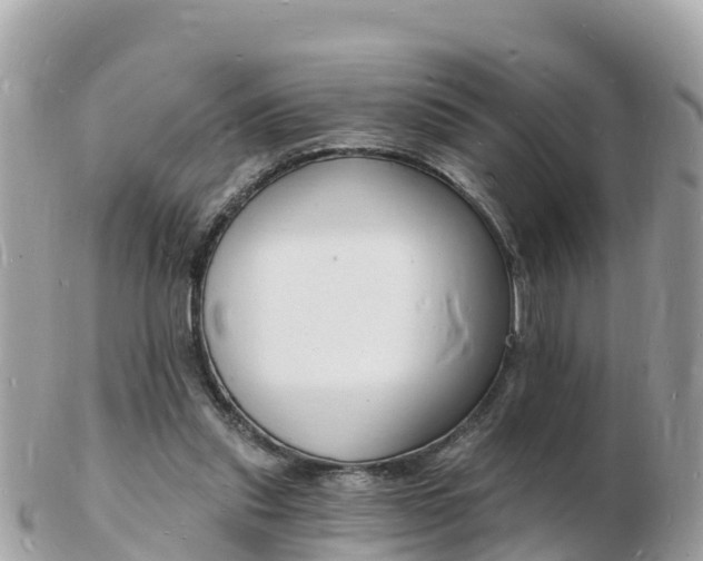 X0000103300253200808291137