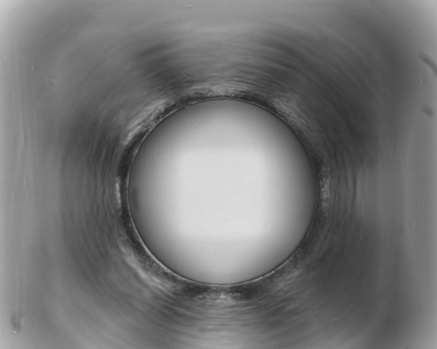 X0000103300254200808291137