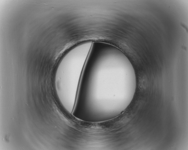 X0000103300256200808291137