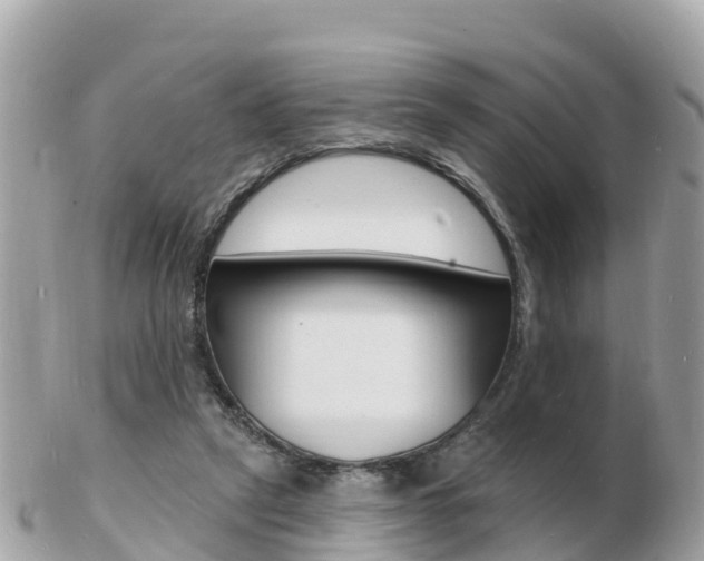 X0000103300257200808291137