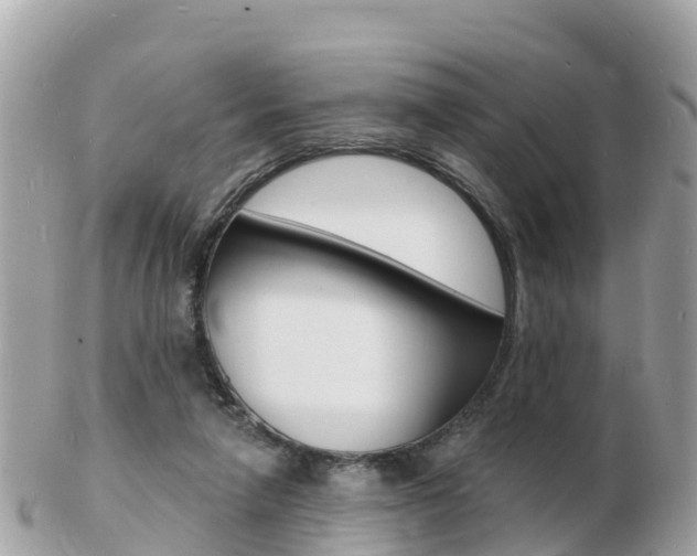 X0000103300258200808291137