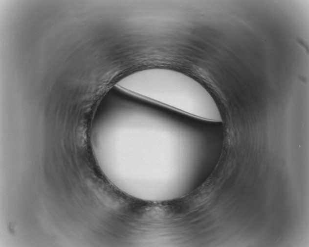 X0000103300259200808291137