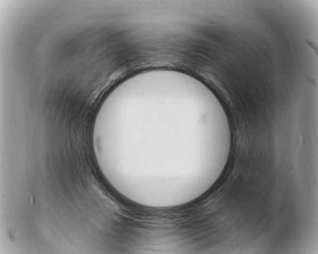 X0000103300260200808291137