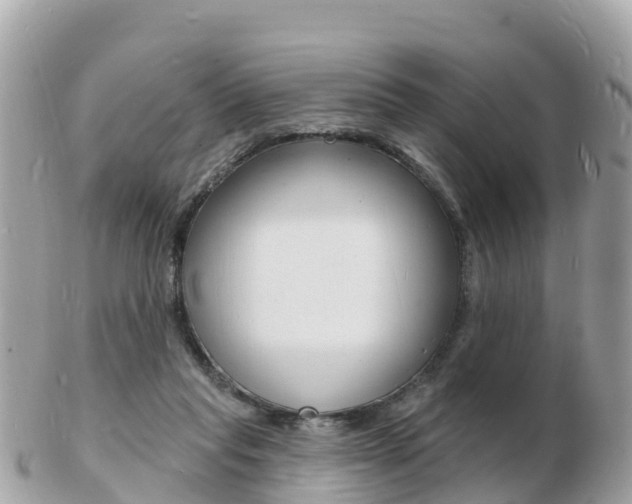 X0000103300261200808291137