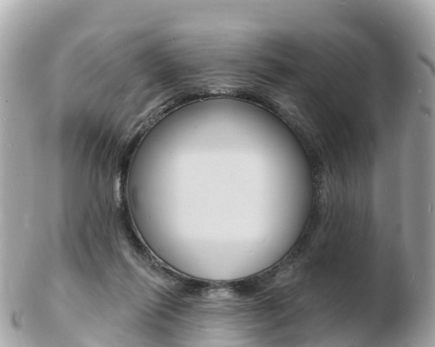 X0000103300262200808291137