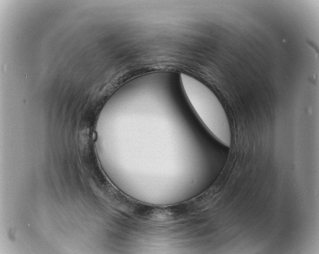 X0000103300263200808291137